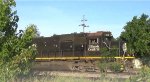 CN A40791